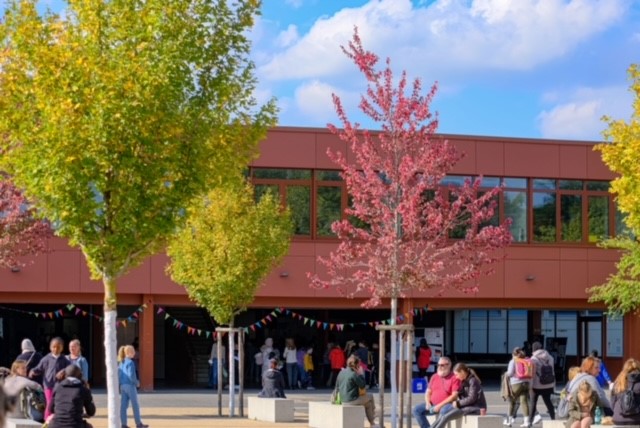 Start der Anmeldung „Neue 5“